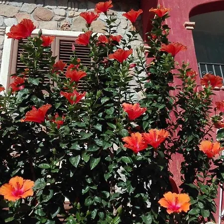 Sole E Mare Holiday home *